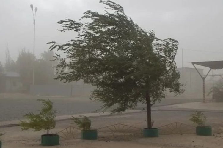 Según las agencias que pronostican el clima, la intensidad del viento aumentará después del mediodía