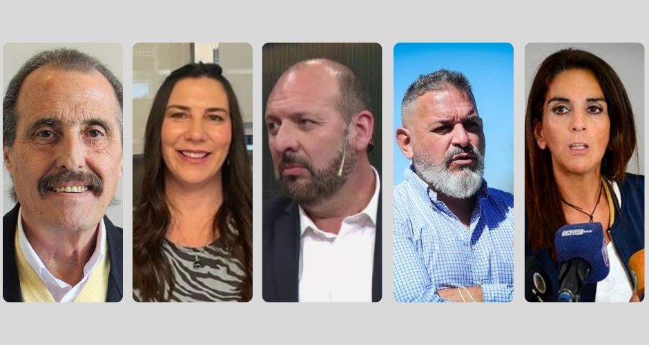 Los cinco diputados nacionales que representan a San Luis en la cámara baja
