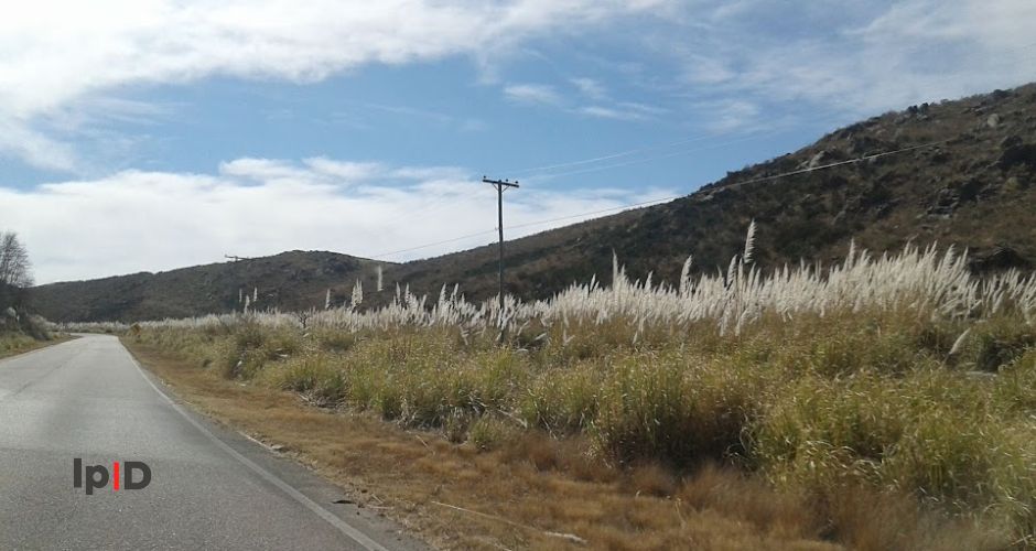 Ruta provincial 9, Valle de Pancanta, La Carolina (San Luis)