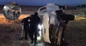 Estaba ebrio: un cazador furtivo volcó su camioneta en la Autopista 55, tenía armas y dos ciervos muertos 