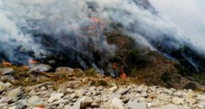 Por tierra y aire varias dotaciones de bomberos intentan controlar un incendio forestal en Estancia Grande 